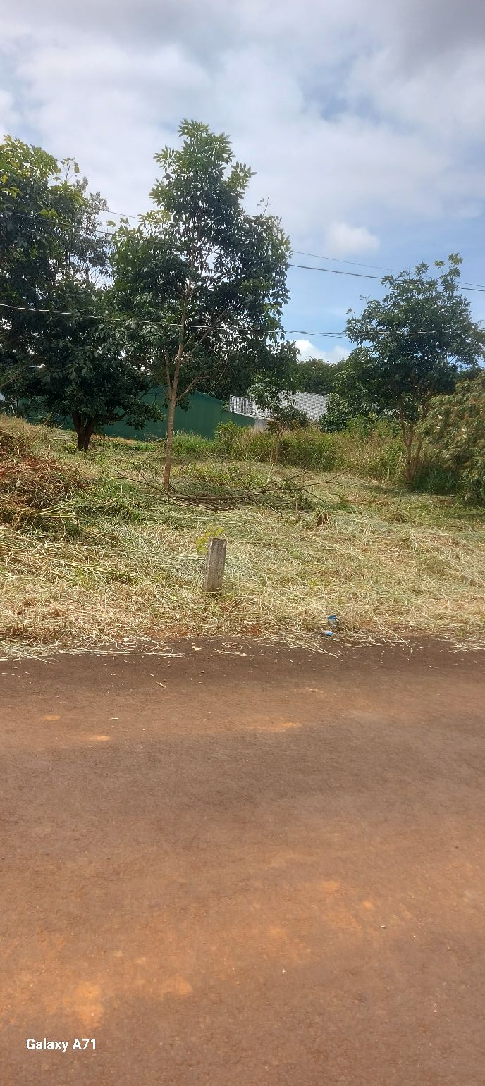 Lô Đất tại Cổng chào T7, Kiến Đức, Đắk Nông 203m² - Cơ hội đầu tư tốt!