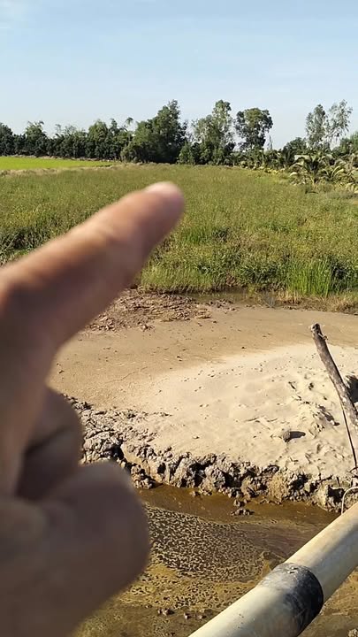 Đất nền 5 công tại xã Mỹ Hòa, huyện Tháp Mười, Đồng Tháp - Giá chỉ 1.6 tỷ, mặt tiền 40m!