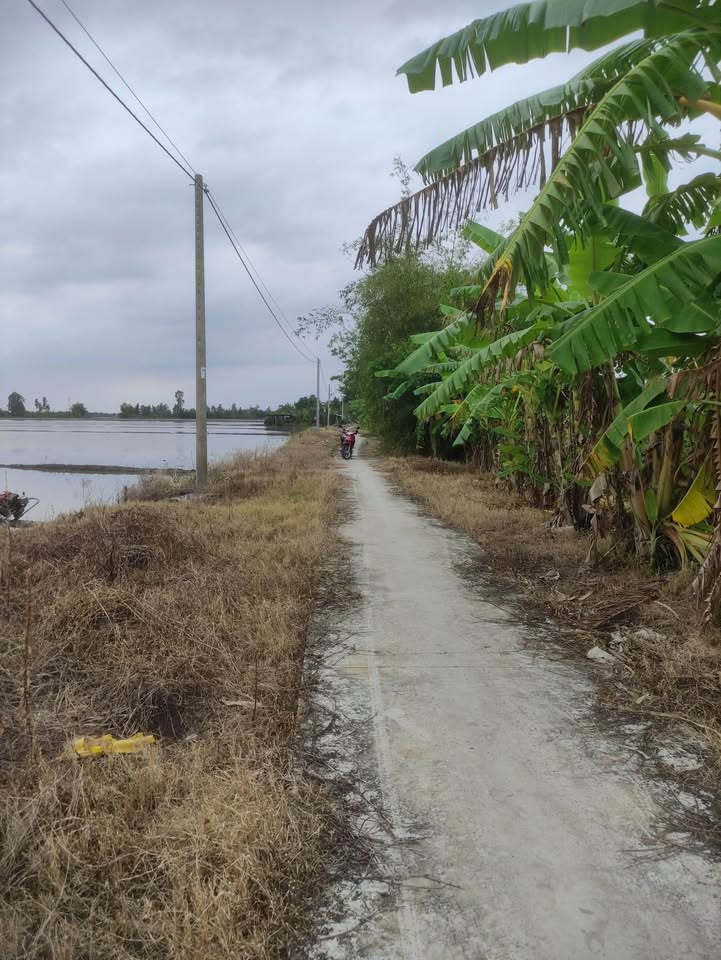 Đất nền Trường Xuân Thới Lai 14.000m² giá 1.9 tỷ - Cơ hội đầu tư tuyệt vời!