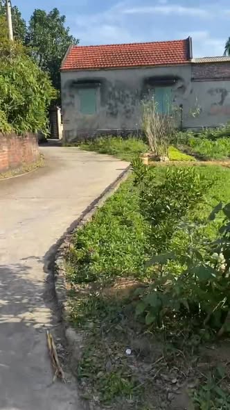 Đất nền Ninh Hải, Ninh Giang 96m² giá 800 triệu - Cơ hội vàng cho nhà đầu tư!