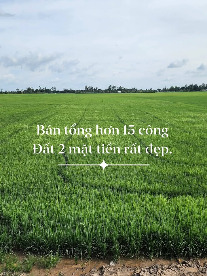 Đất 2 mặt tiền Lê Chánh, Tân Châu, 15 công giá 4.5 tỷ - Cơ hội đầu tư tuyệt vời!
