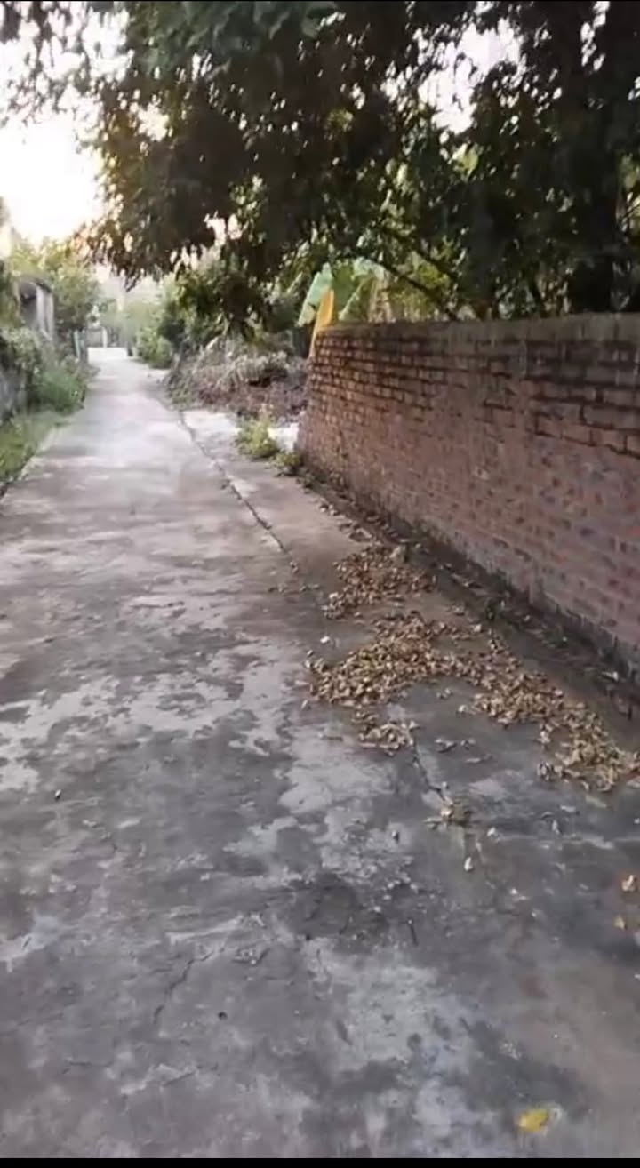 Đất nền Liên Mạc, Thanh Hà 199m² chỉ 700 triệu - Đầu tư sinh lời ngay!