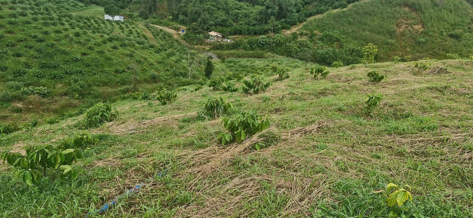 Đất nền Lộc Bắc, Bảo Lâm 15000m² giá 2.8 tỷ - Sổ đỏ chính chủ, thuận lợi đầu tư!