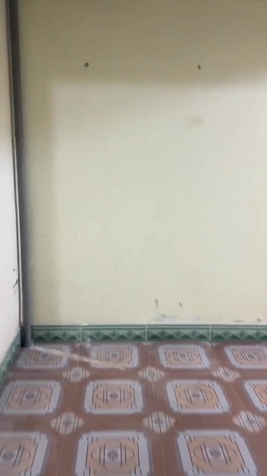 Nhà cấp 4 Tiến Thành Đồng Xoài 165m² giá 1 tỷ - Sát trường chuyên Quang Trung!