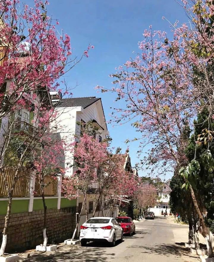 Đất nền Mê Linh Đà Lạt 136m² giá 9 tỷ - Lô góc 2 mặt tiền, an ninh tốt!