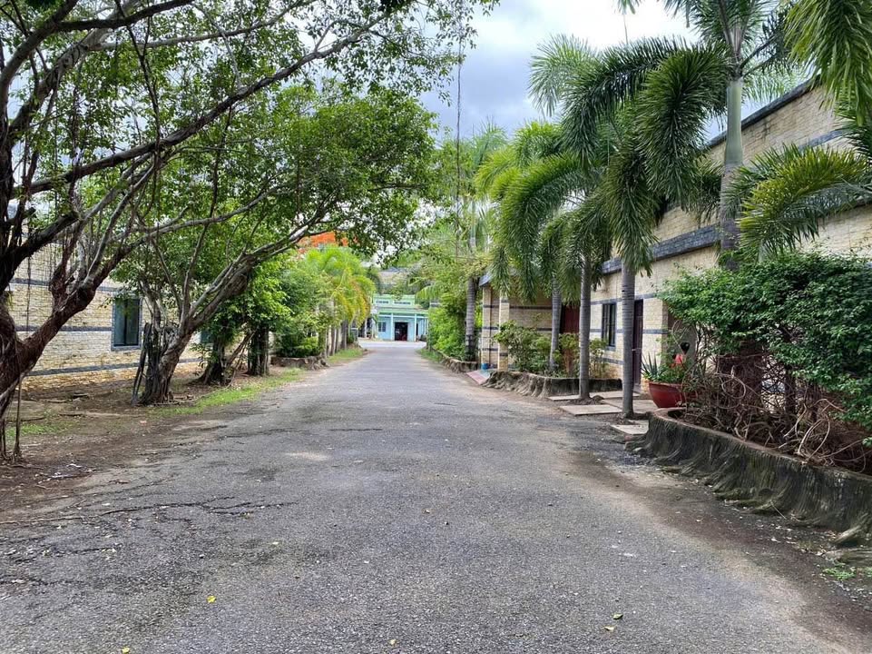 Nhà nghỉ + Nhà yến mặt tiền QL53 Trà Vinh 2500m² - Đầu tư sinh lời ngay!