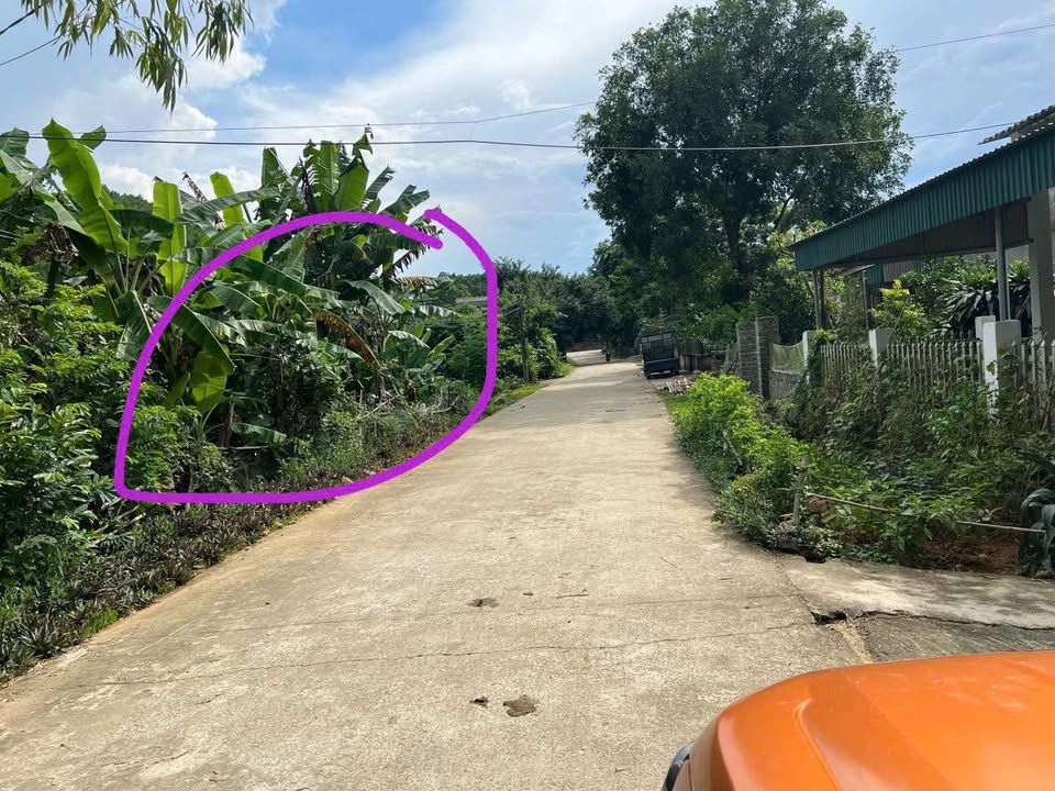 Đất thổ cư Văn Phú Nho Quan 125.41m² - Giá tốt cho nhà đầu tư!