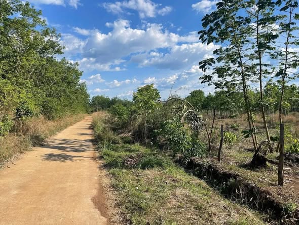 Đất nền 360m² phường An Lộc, Bình Long chỉ 200 triệu - Sổ đỏ chính chủ!