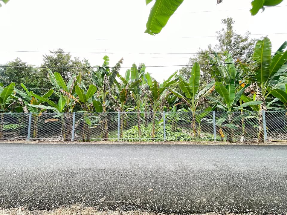 Đất nền mặt tiền Nguyễn Viết Xuân 328m² giá 5.3 triệu/m² - Đầu tư tiềm năng