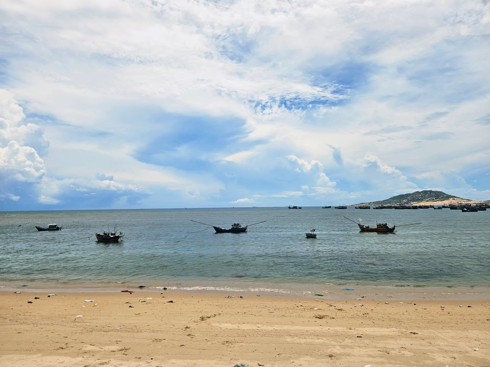 Đất thổ cư mặt tiền biển Sơn Hải 184m² giá 3.128 tỷ - Đầu tư sinh lời lý tưởng!