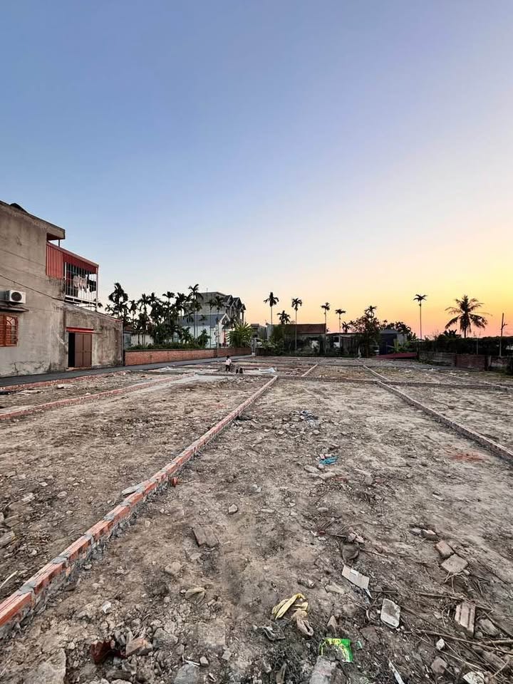 Đất nền đường Đào Yêu 4, Hồng Thái, An Dương 41m² - Giá đầu tư chỉ 1.16 tỷ!