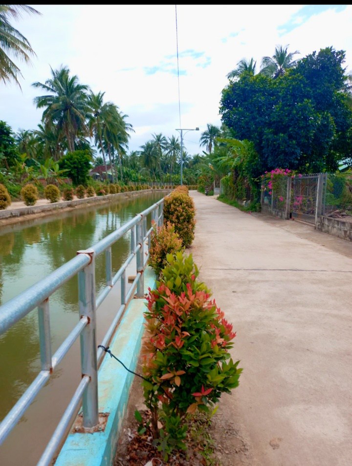 Đất nền Hoài Tân, Hoài Nhơn 104m² giá thỏa thuận - Khu dân cư an bình!