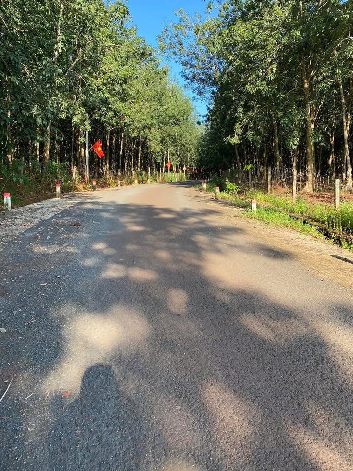 Đất Lộc Thuận 1000m² giá 250 triệu - Sổ đỏ chính chủ, giao dịch nhanh!