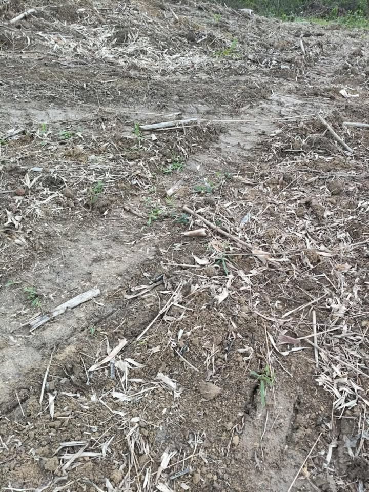 Đất nền 5 sào tại xã Đukmal, giá 230 triệu - Cơ hội đầu tư hấp dẫn!