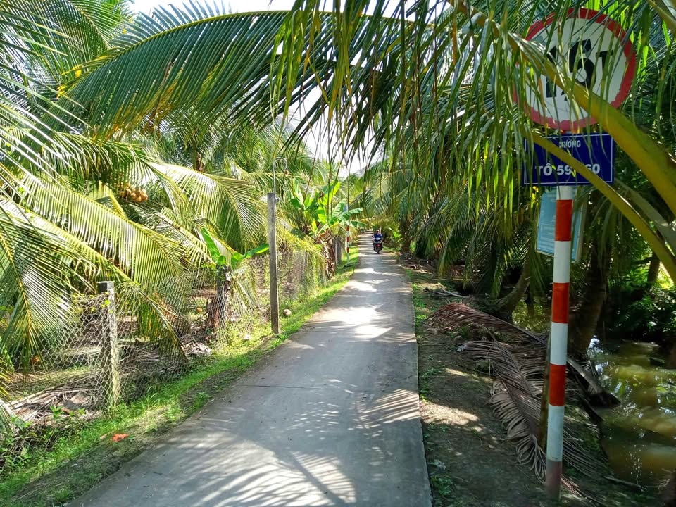 Đất nền Ấp Bình Trung, Thạnh Nhựt, Gò Công Tây 4.400m² - Giá 2.5 tỷ, Sẵn sàng đầu tư!