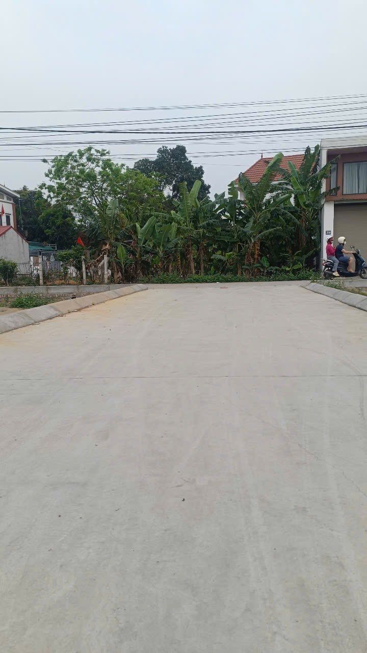 Đất nền Tân Minh, Sóc Sơn 60m² giá 2 tỷ - Đối diện quy hoạch trường học!