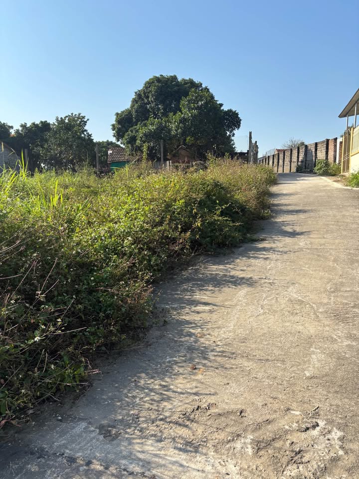 Đất nền Vật Lại, Ba Vì 232m² giá 1 tỷ - Sổ đỏ chính chủ, view đẹp