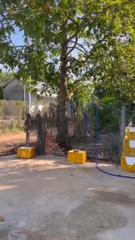 Nhà đất Ấp Thạnh Hiệp, Thạnh Đông, Tây Ninh 260m² giá 679 triệu - Chính chủ bán gấp!