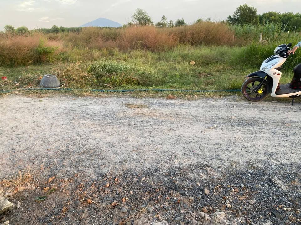 Đất nền Châu Thành, Tây Ninh 140m² giá 100 triệu - Cơ hội đầu tư hấp dẫn!