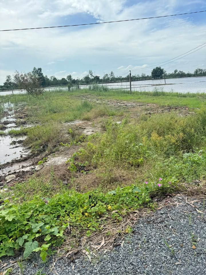 Đất nền Tân Nhuận Đông 125m² giá 280 triệu - Hướng Nam, lộ nhựa 3,5m