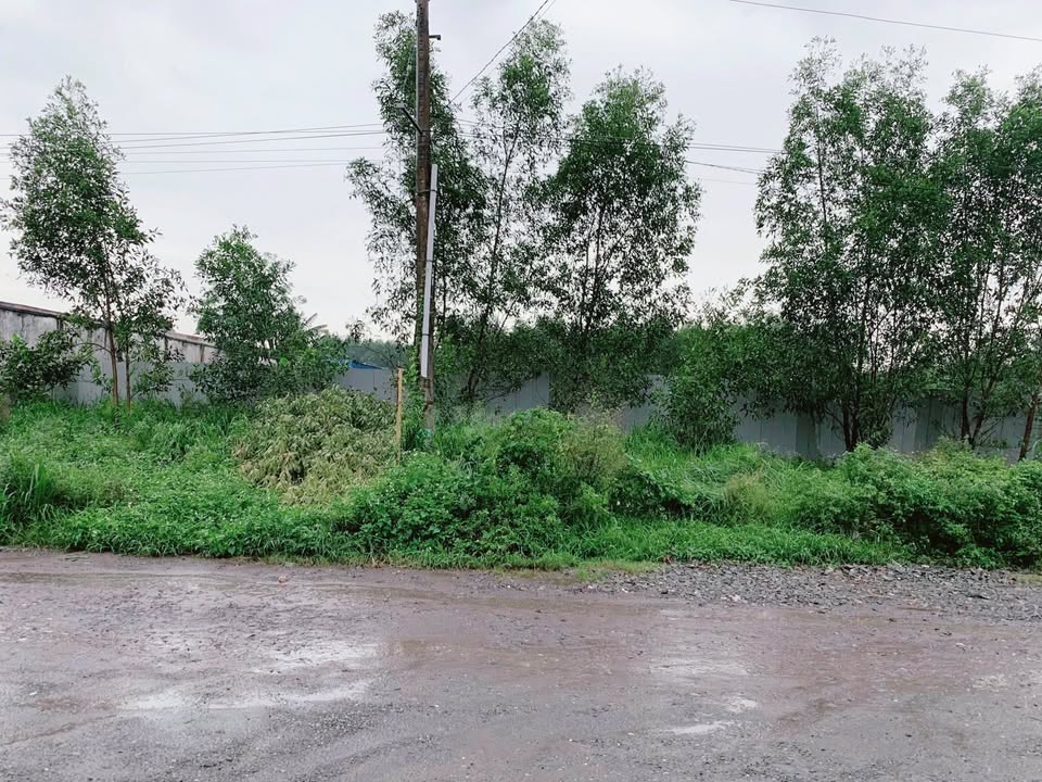 Đất quy hoạch SKC An Viễn 9000m² giá 29.5 tỷ - Cơ hội đầu tư sinh lời