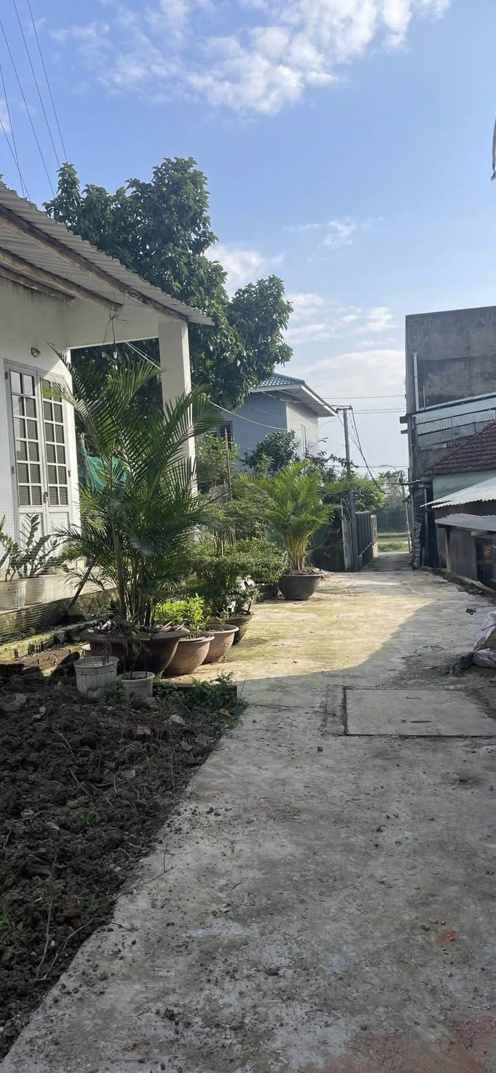 Đất nền đường Cầu Đỏ Túy Loan, quận Cẩm Lệ 115m² giá 1.87 tỷ - Cơ hội đầu tư tuyệt vời!