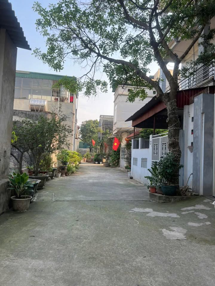 Đất thổ cư đẹp tại khu Thanh Xuân, thành phố Việt Trì 102m² giá 3 tỷ - Đường rộng ô tô tránh