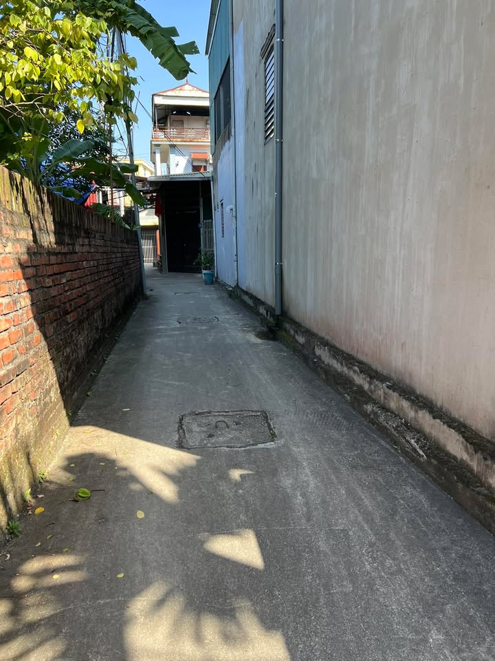 Đất nền Kim Sơn, Gia Lâm 63m² giá thỏa thuận - Khu vực phát triển tiềm năng!