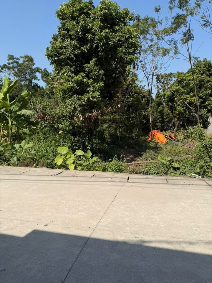 Đất nền Lộc Môn - Trung Sơn - Lương Sơn 160m² giá 1.6 tỷ - Đầu tư sinh lời ngay!