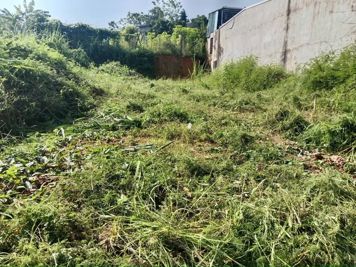 Đất thổ cư 208m² tại Nông Tiến, Tuyên Quang - Gần trung tâm chỉ 3 phút!