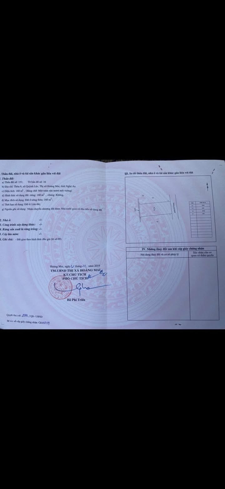 Đất nền An Thịnh Hoàng Mai 221m² giá 1.5 tỷ - Đầu tư sinh lời tuyệt vời!