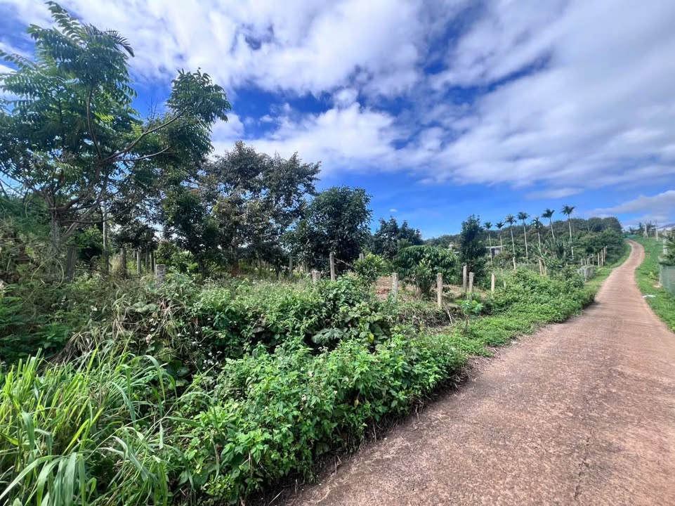 Đất nền liền kề chân dài Xã Phú Lộc 372m² giá 1.4 tỷ - Đường bê tông rộng rãi!