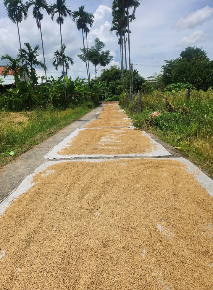 Đất nền Điện Phước, Điện Bàn 138m² giá 600 triệu - Cơ hội đầu tư tuyệt vời!