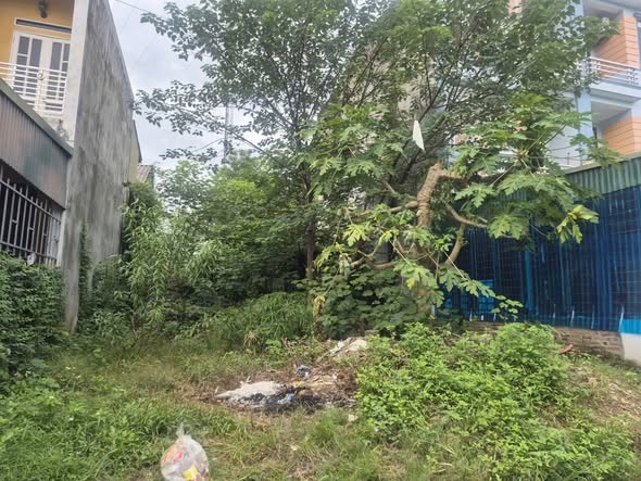 Đất nền Phường An Tường, Tuyên Quang 100m² giá 1.5 tỷ - Cơ hội đầu tư hấp dẫn!