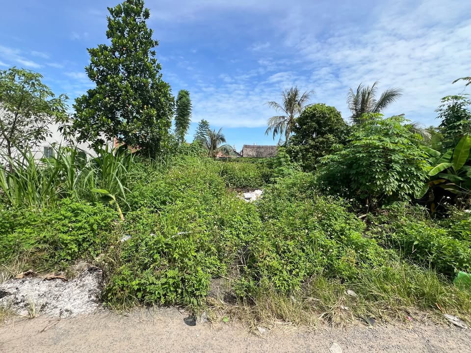 Đất nền xã Mỹ Hạnh Nam, Đức Hòa 125m² giá 1.45 tỷ - Đường nhựa ô tô vào tận nơi!