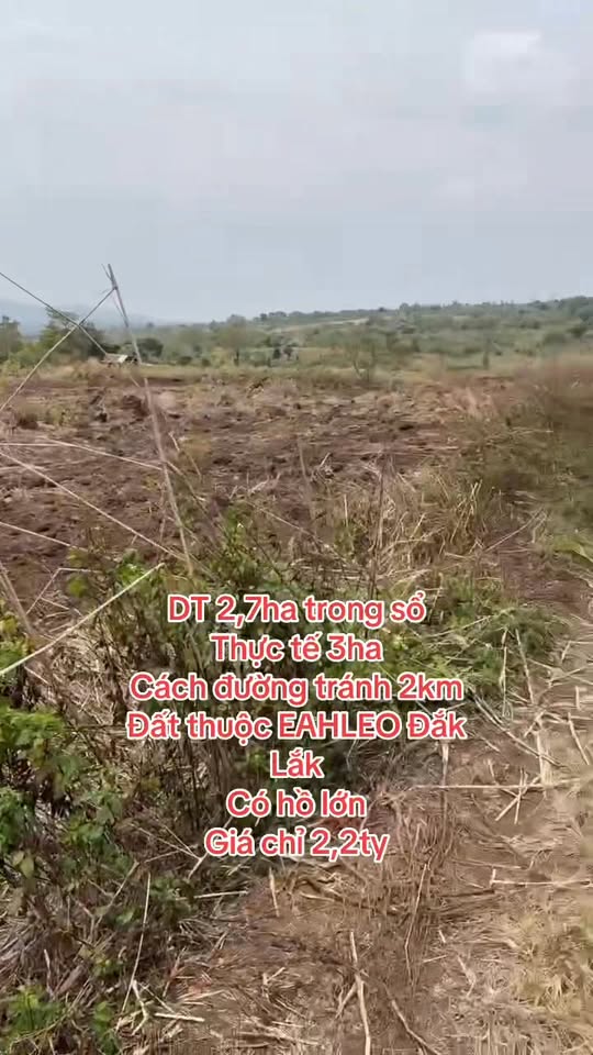 Đất Farm Dliê Yang, Ea H'leo, Đắk Lắk, 3ha giá chỉ 2.2 tỷ - Đầu tư sinh lời hấp dẫn!