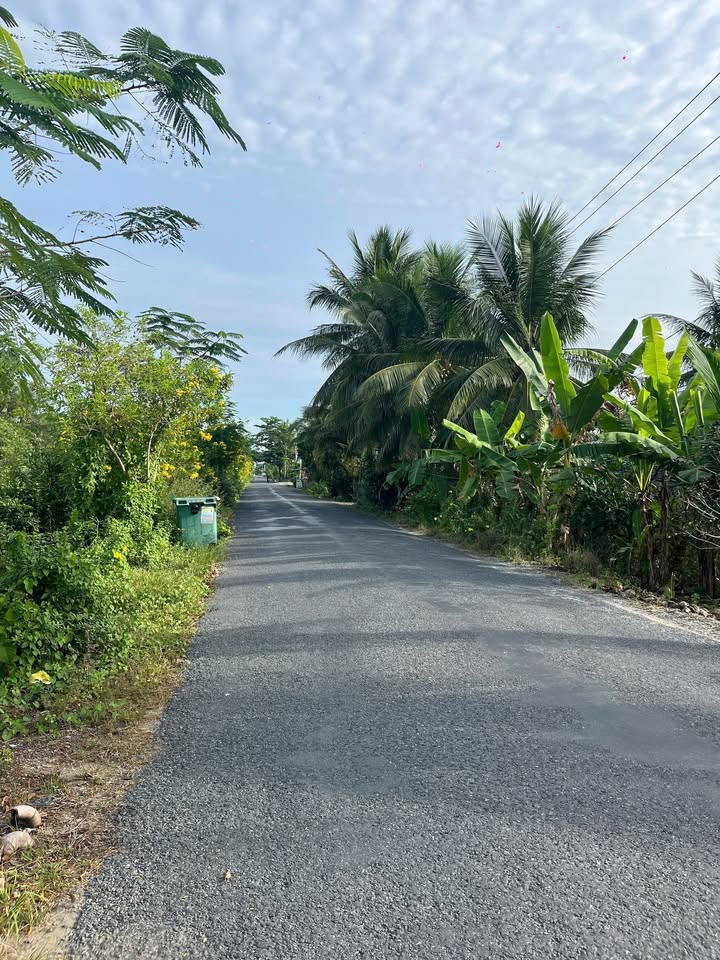 Đất mặt tiền Đường Tỉnh 875B, xã Hiệp Đức, huyện Cai Lậy 455m² - Đầu tư sinh lời tuyệt vời!