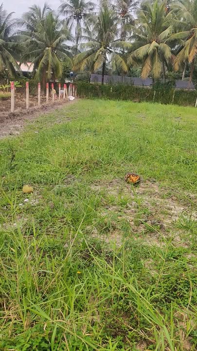 Đất thổ cư 197m² tại Ấp Thạnh Thới, Gò Công Tây - Giá chỉ 330 triệu!