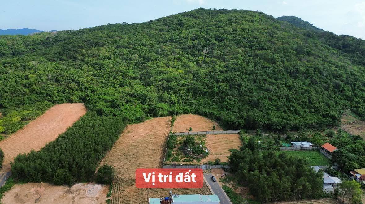Đất nền view núi tại Tam An, Long Đất 778m² giá 3.25 tỷ - Lộc trời ban cho!