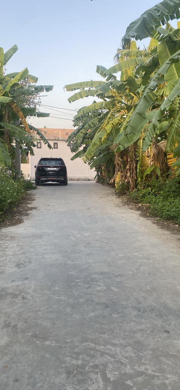 Đất nền Quang Trung, Tứ Kỳ 100m² giá 1 tỷ - Tiềm năng đầu tư lớn!