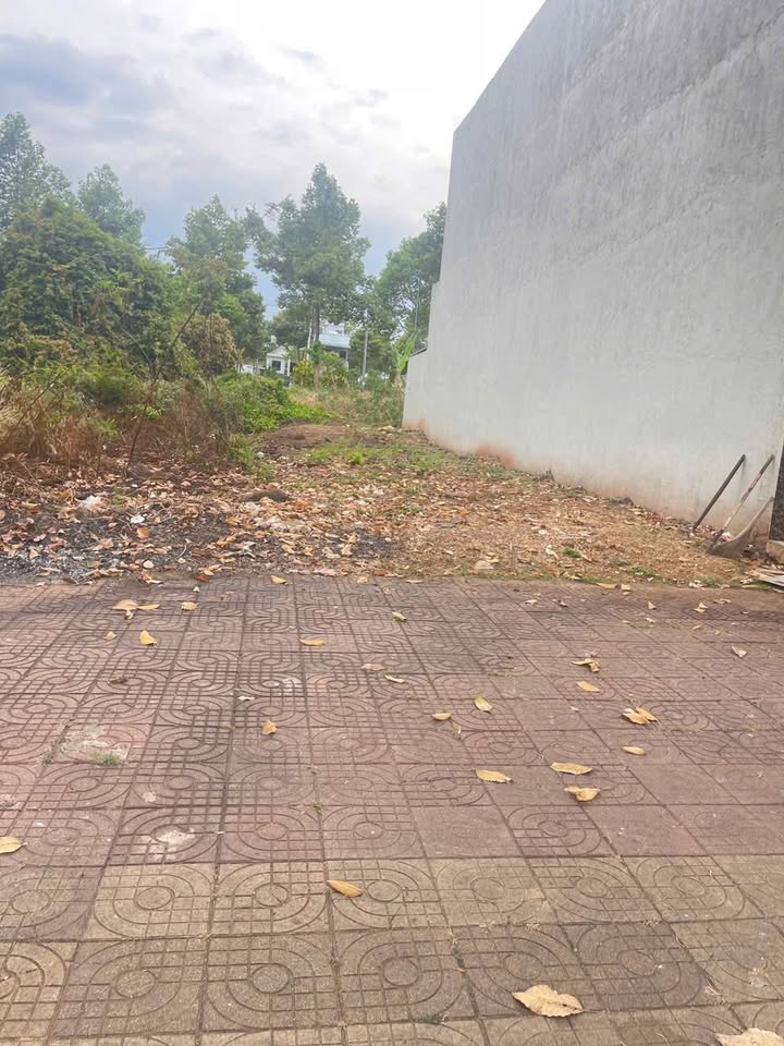 Đất mặt tiền Trần Nhân Tông, Long Khánh 142.5m² giá 3 tỷ - Cơ hội đầu tư tuyệt vời!