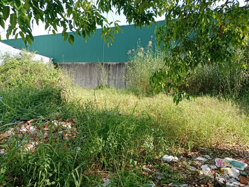 Đất nền Cái Răng 75m² giá 790 triệu - Sổ hồng chính chủ, thích hợp kinh doanh!