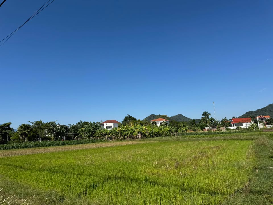 Đất nông nghiệp 700m² tại Minh Trí, Sóc Sơn - Cơ hội đầu tư tự cung tự cấp!