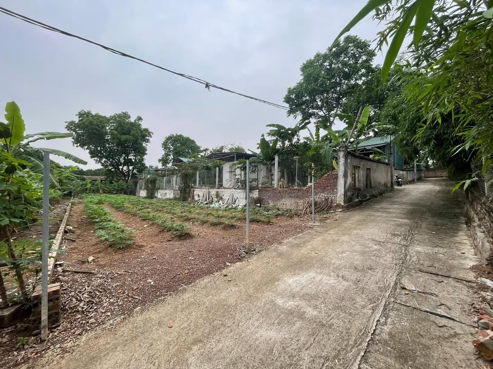 Đất nền Bất Bạt, Ba Vì 341m² giá 1.x tỷ - Đường ô tô vào tận nơi!