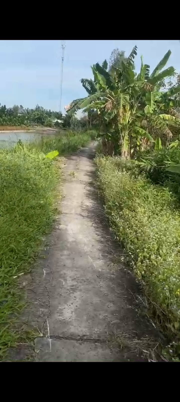 Đất nền ấp Chà Là, Cai Lậy 1104m² giá 650 triệu - Đầu tư sinh lời ngay!