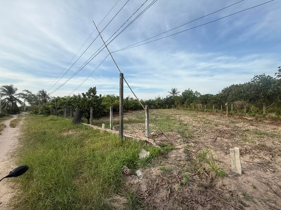 Đất hẻm 9 Trường Đông, Long Hoa, Hòa Thành 275m² - Khu dân cư an ninh hoàn hảo!