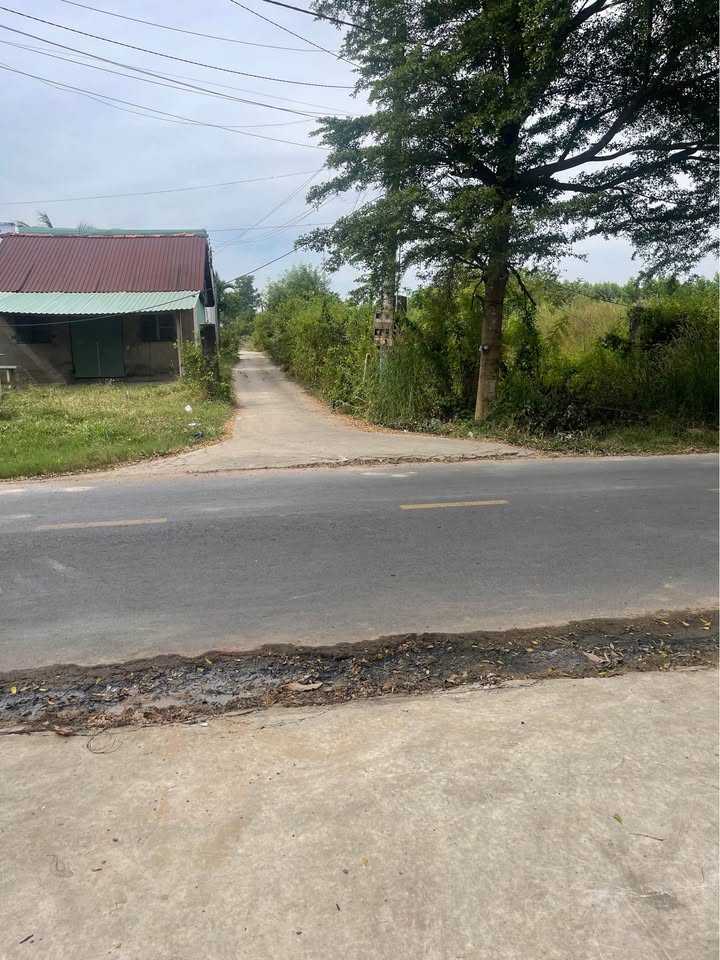 Lô đất thổ cư 196m² tại Xóm Mới 2, Gò Dầu - Giá chỉ 690 triệu, sang tên ngay!