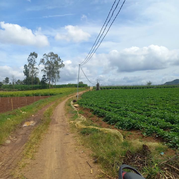 Lô đất Tân Hội, Đức Trọng 10.500m² giá 6.4 tỷ - Đất đẹp, chính chủ bán gấp!