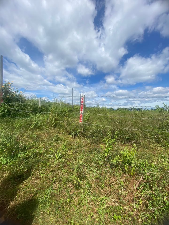 Đất nền Lý Chính Thắng, Phường Chi Lăng 120m² - Sổ đỏ chính chủ, giá tốt!