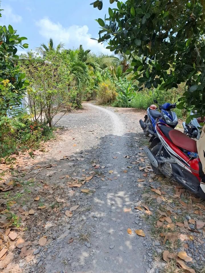 Đất ruộng 6.620m² tại xã Ba Sao, huyện Cao Lãnh - Cơ hội đầu tư hấp dẫn!